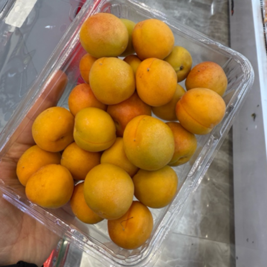 【当季限定】新疆吊干杏