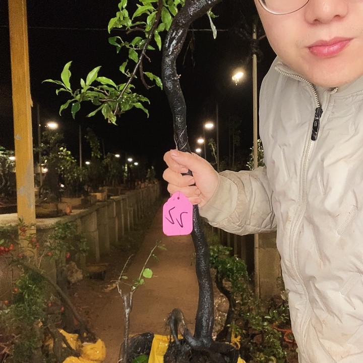 大***天无花朵会发图斤斤计较