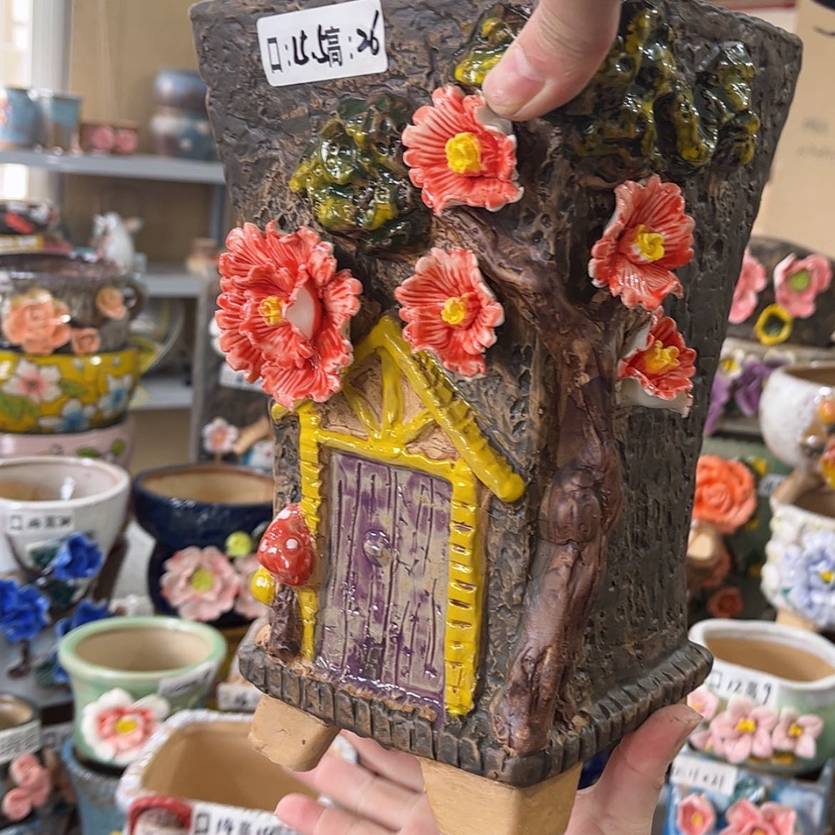 【闪购商品】红陶福利