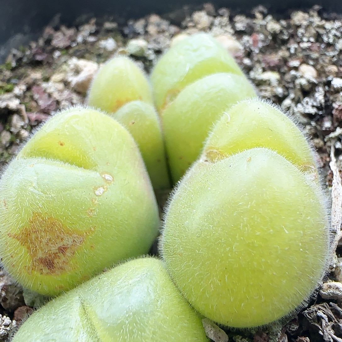 大年初三快乐23338