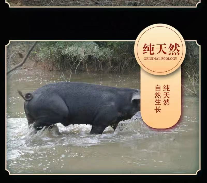 大别山农家土猪肉咸香肉现场称重现场改价