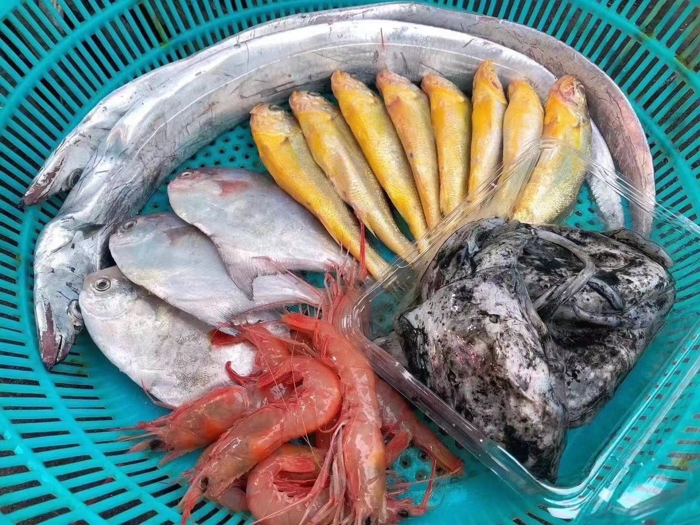 海鲜礼盒改价链接3（规格重量以直播间为主）