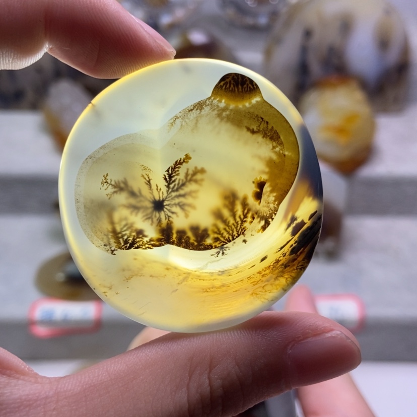 【闪购商品】未镶嵌玛瑙/玉髓珠宝奇石