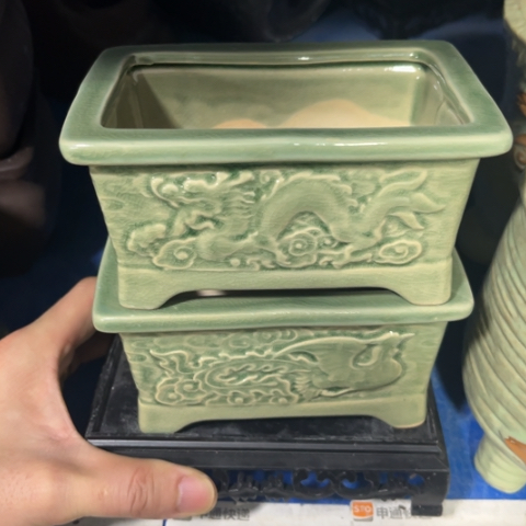 2盆2托［所有订单凑满15包邮］13×8×6