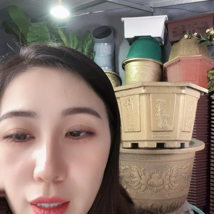 圆70口径花盆一个