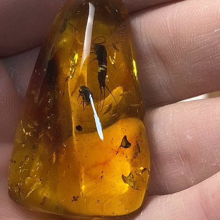 竹***徒定制琥珀定制专拍