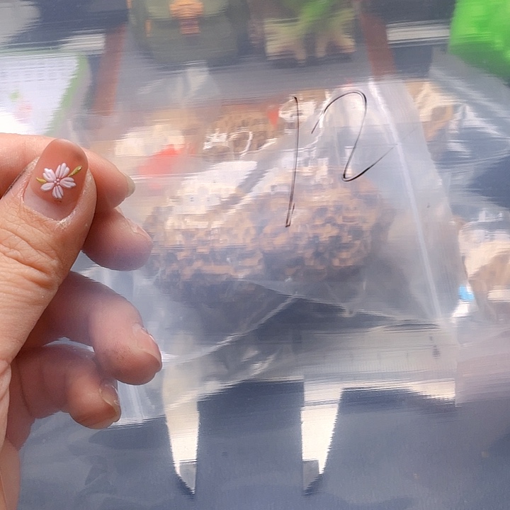 文玩核桃吊坠硕*文玩12