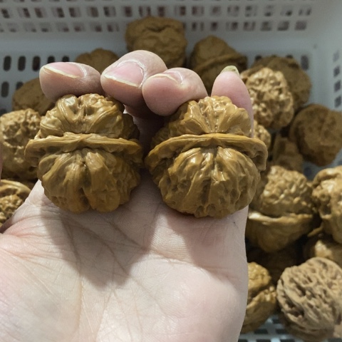 小***学把件文玩核桃哈哈哈