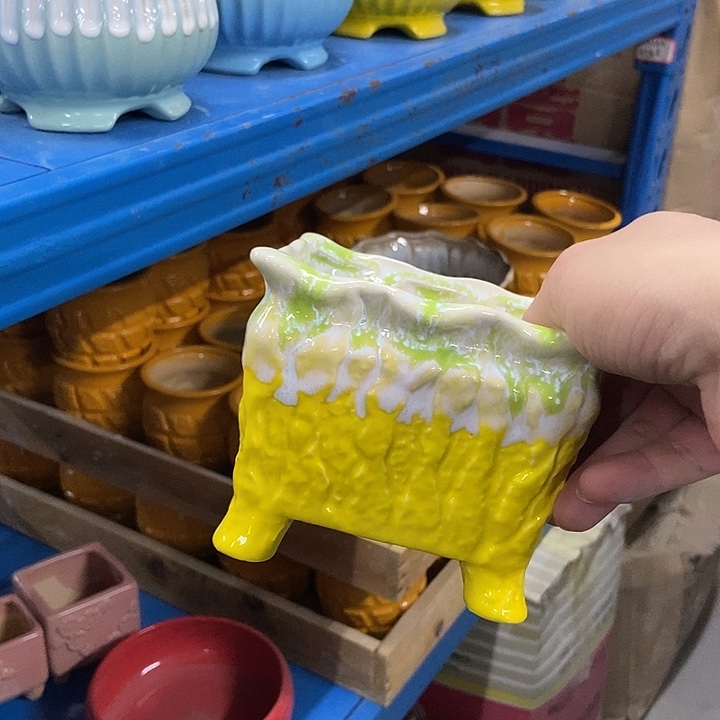 花盆单场满9.9发货11×9.5黄