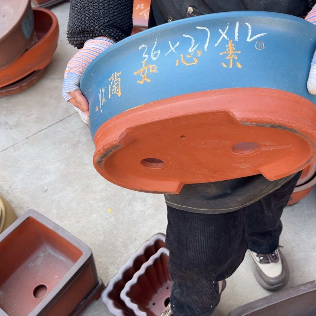 紫砂花盆盆景艺术