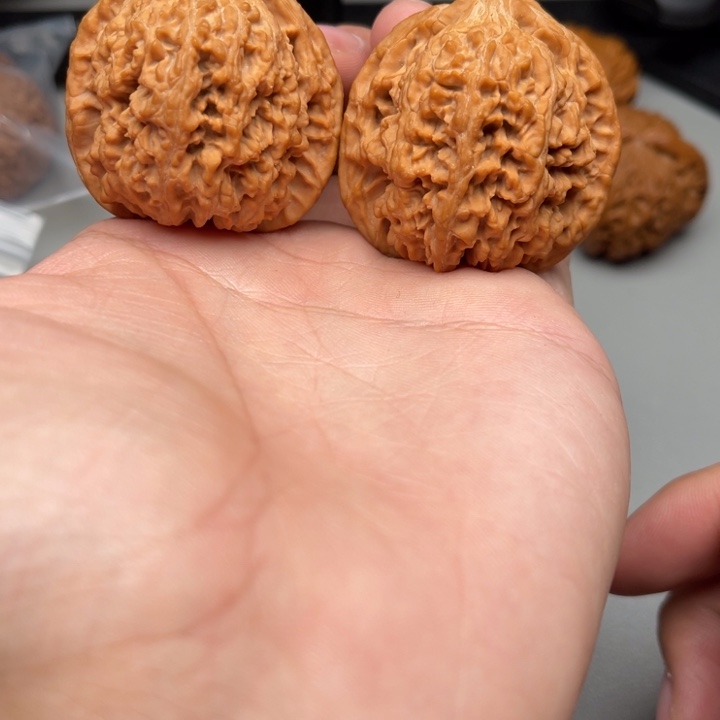 文玩核桃把件满天星