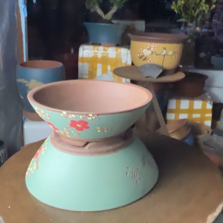 紫砂绿斗盆点彩中小