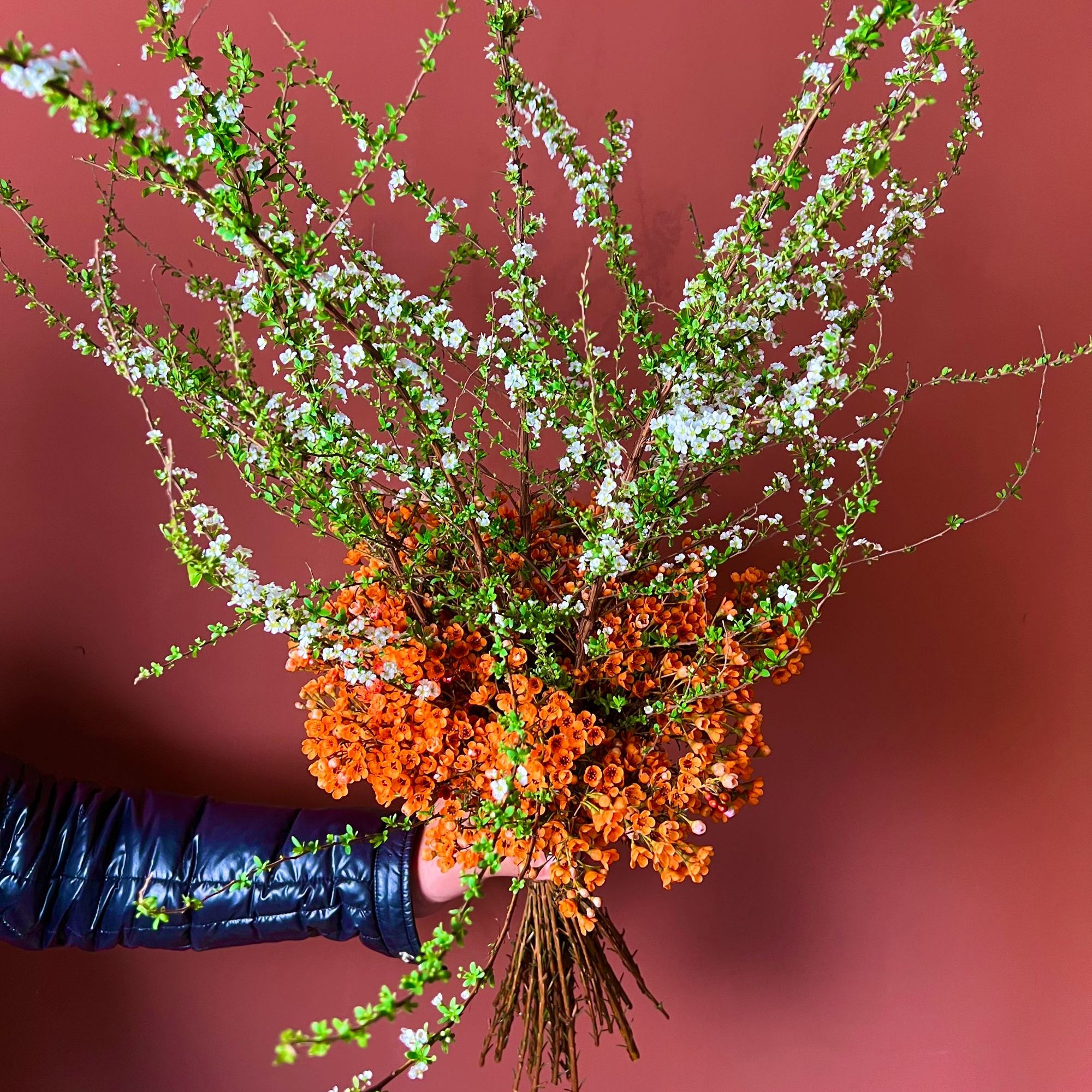 2026年新年花束腊梅雪柳各色搭配红腊梅粉腊梅家居花束客厅室内