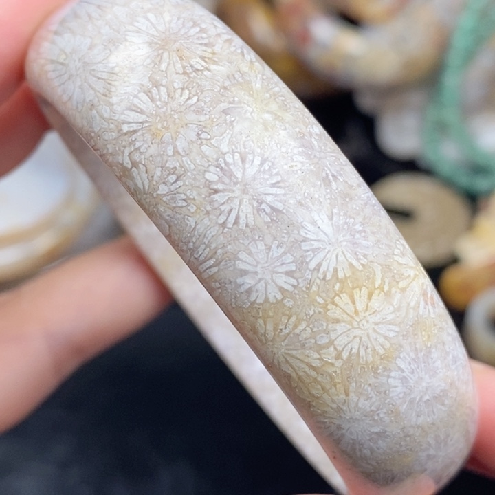 未镶嵌手镯（圆镯）硅化玉60