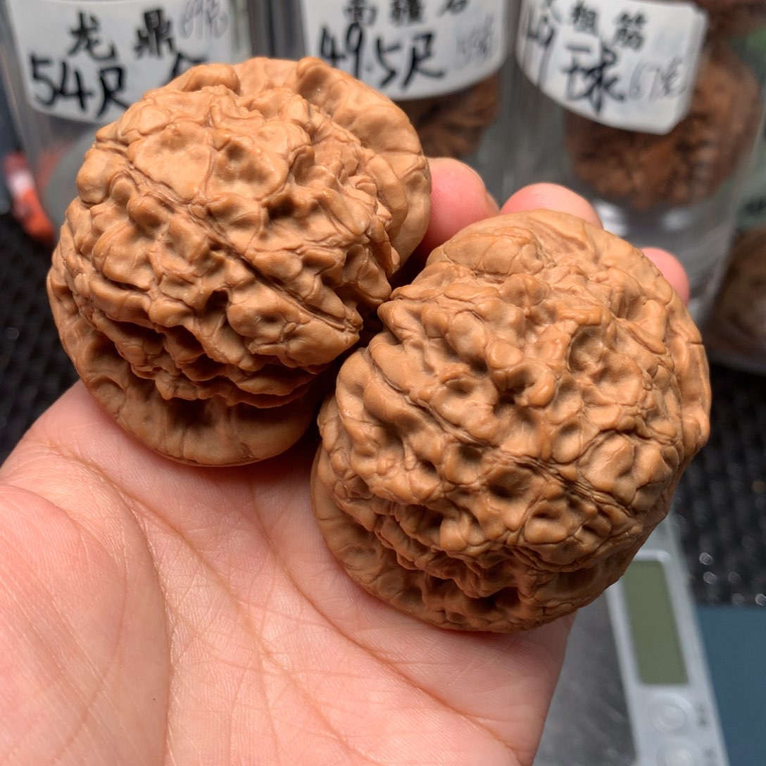 文玩核桃把件54-9999-5