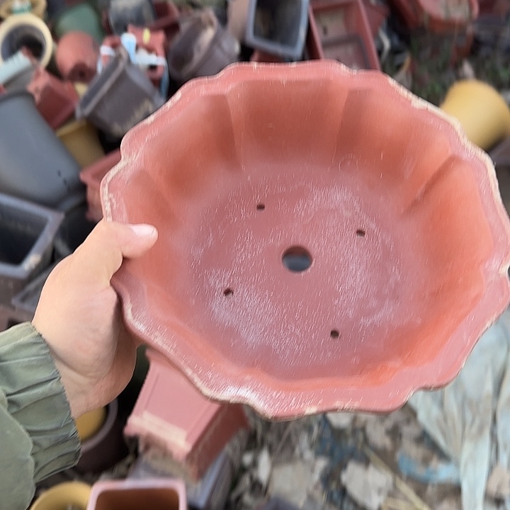 是的呀哈哈是这样哈哈好开心哦是真的非常期待