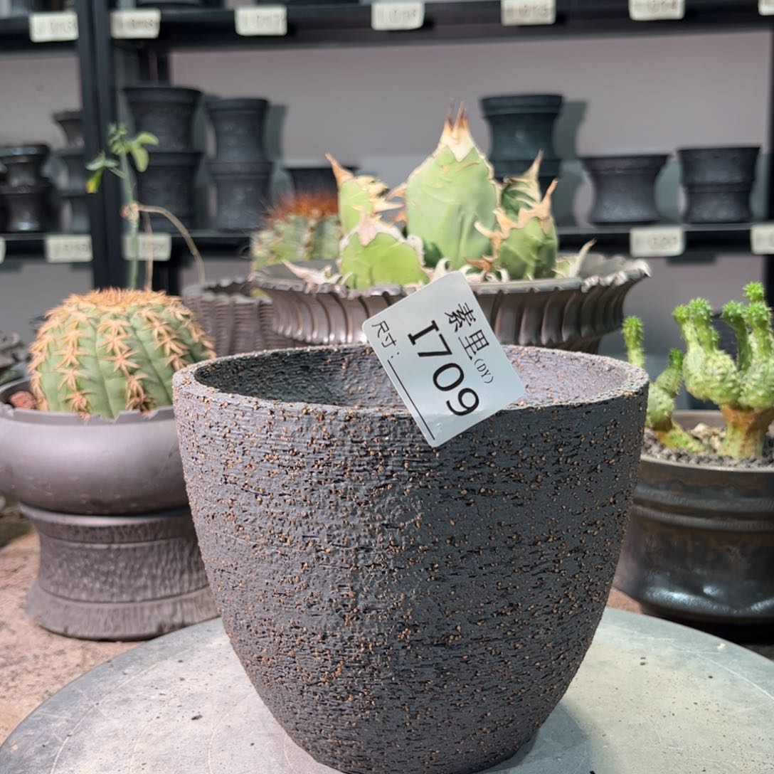 景德镇手工素里内口14.2高12.5