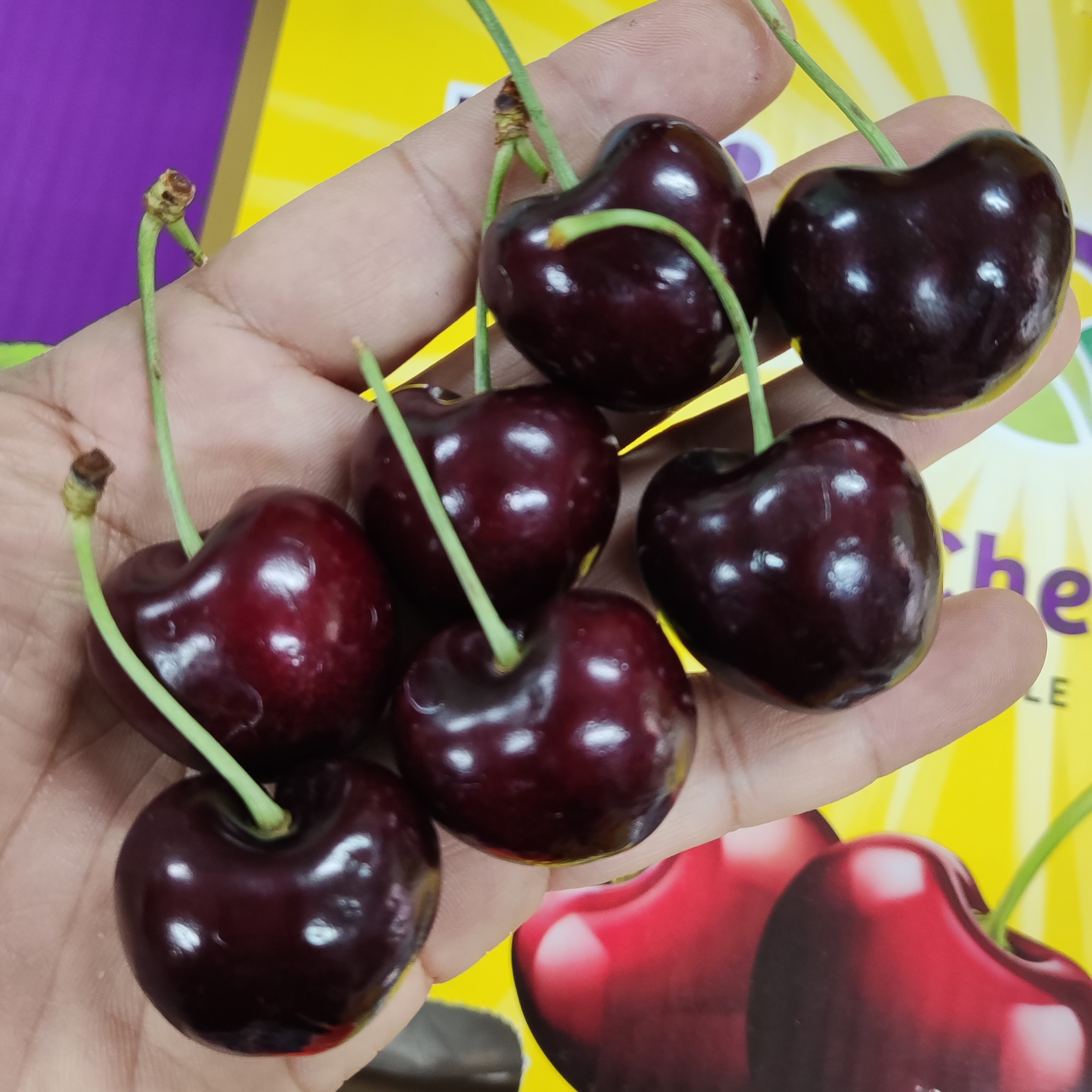 智利空运进口车厘子桑提娜1.6-5斤新鲜水果樱桃4JD内附果径卡