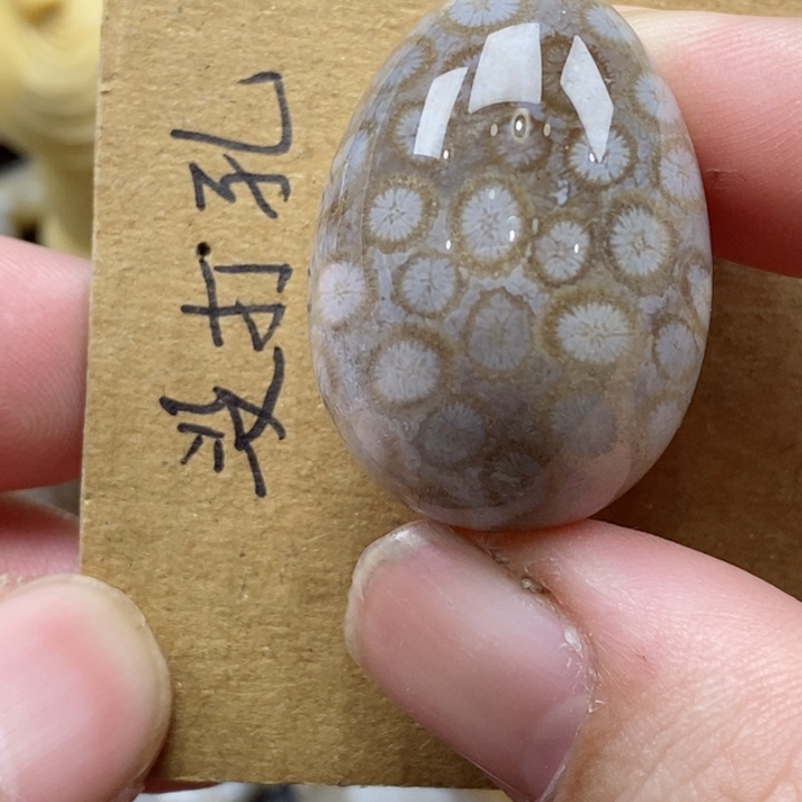 颈饰未镶嵌硅化珊瑚（珊瑚玉）