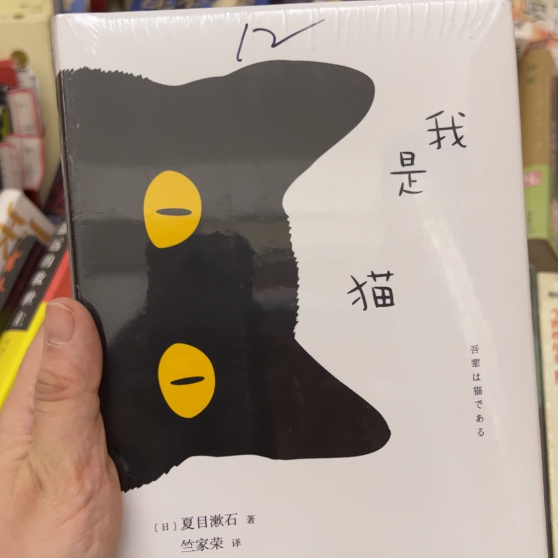 我是猫            
