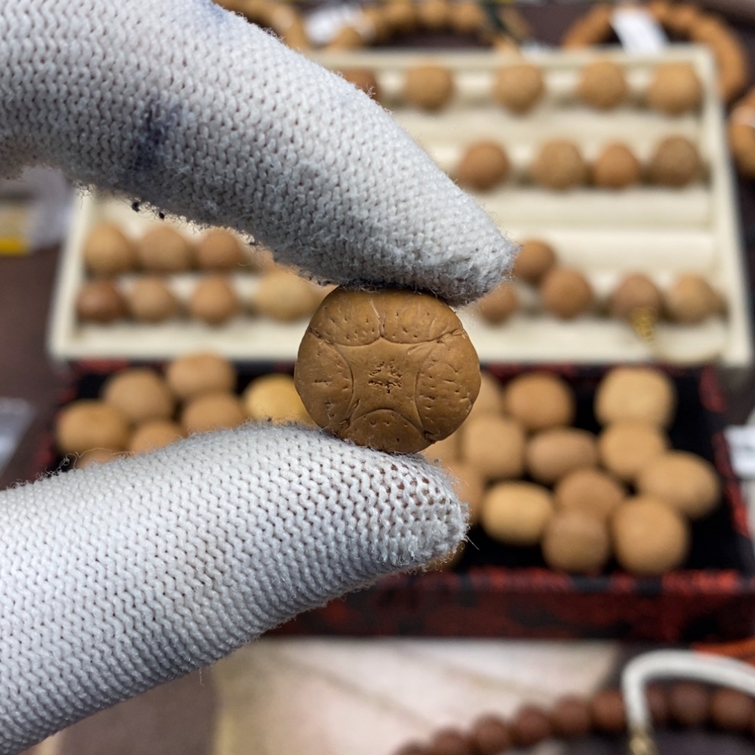 凤眼菩提吊坠17.6五星单颗