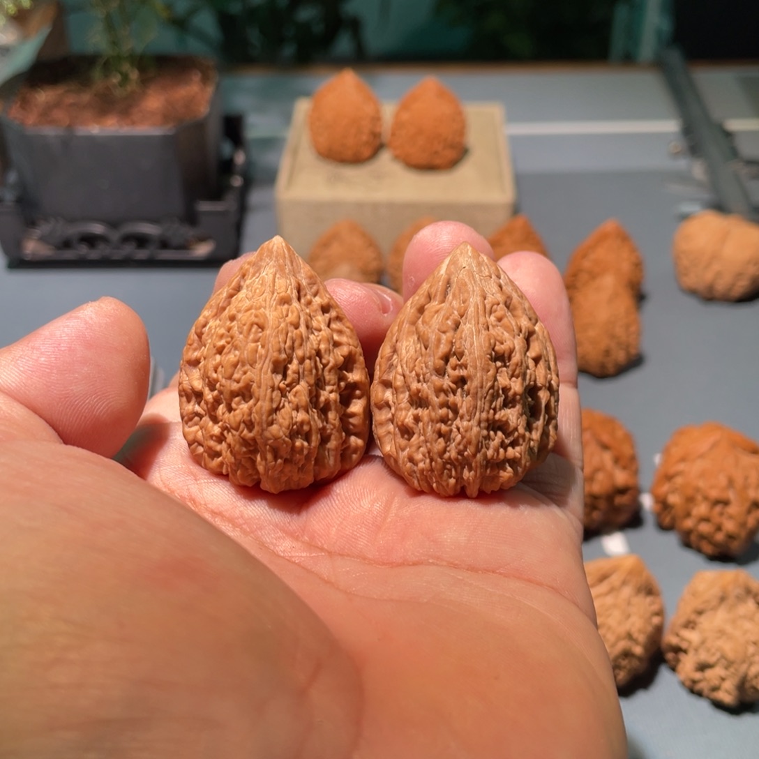 文玩核桃把件改*改31