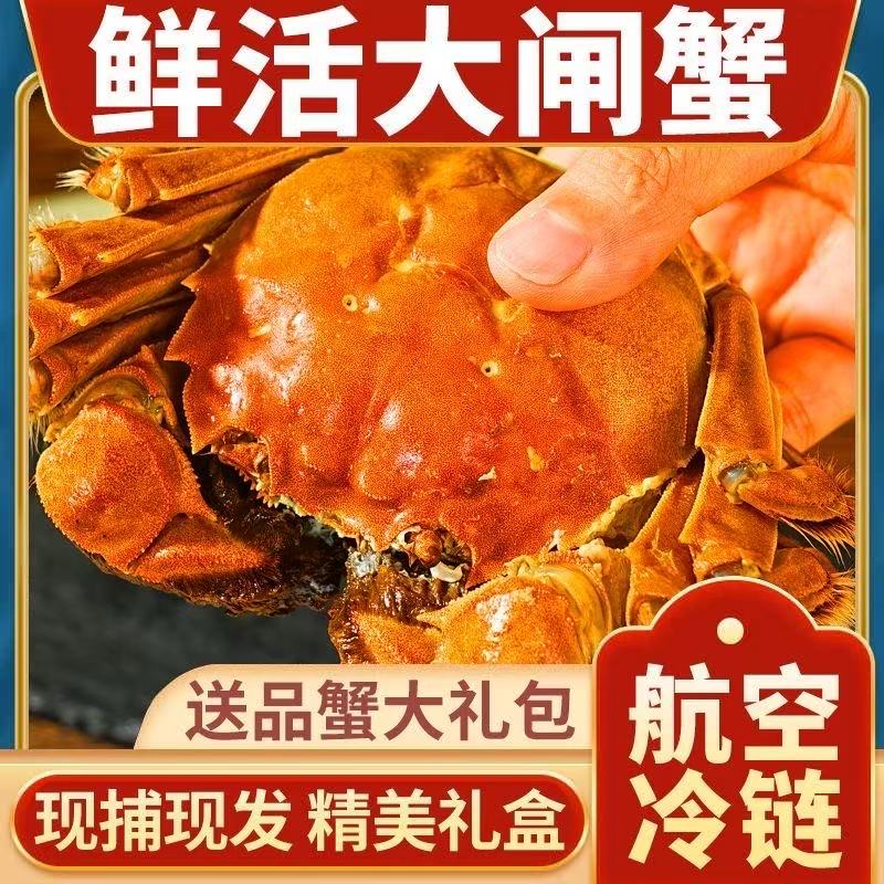 【活蟹现发】鲜活大闸蟹公蟹4.5-4.2两母蟹3.5-3.2两10只 