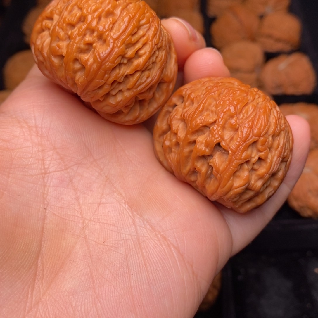 文玩核桃把件秦岭野生核桃