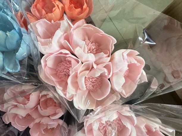 通草花手工小牡丹质量保证永生花