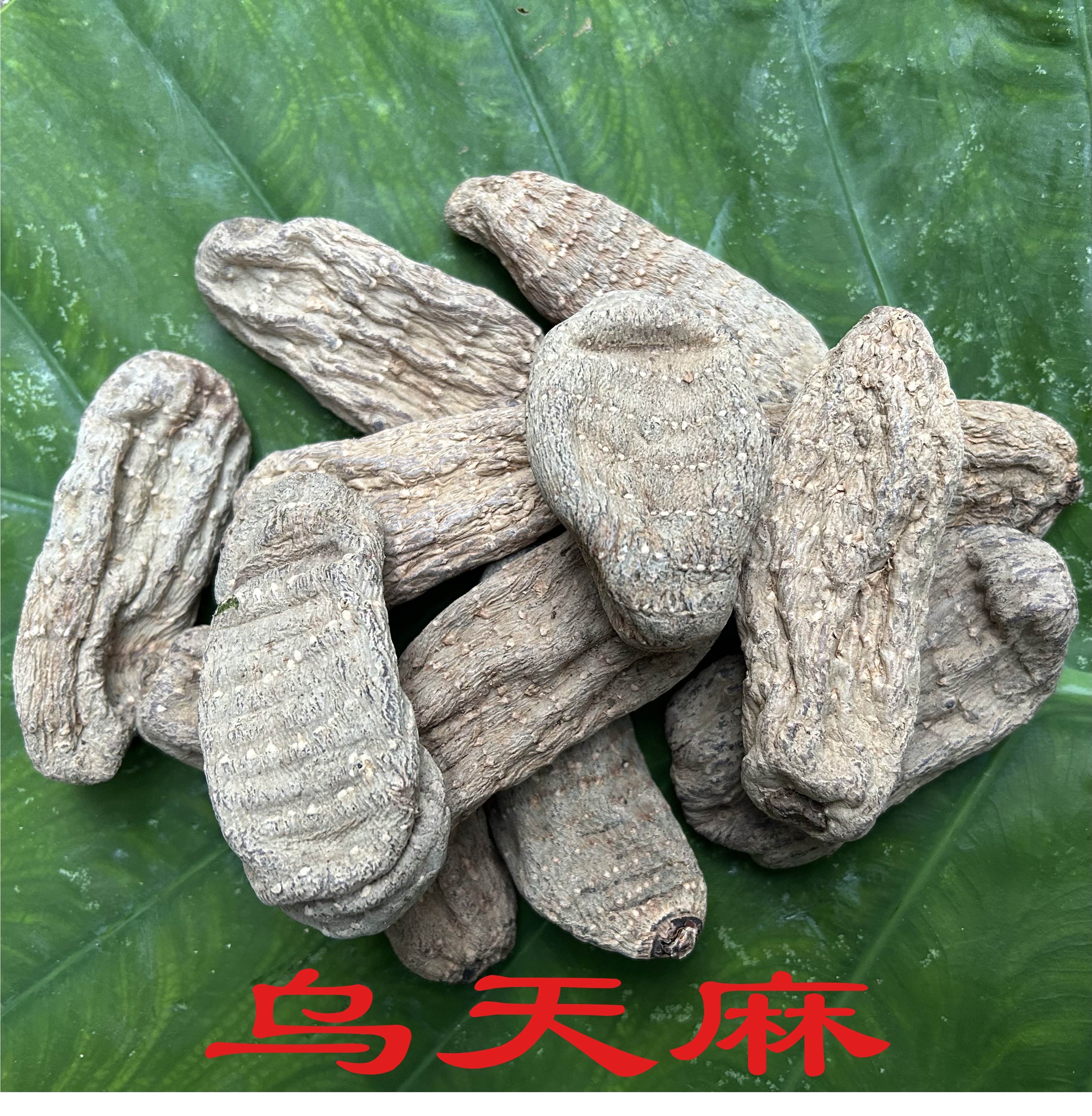 （乌天麻）云南高山高海拔3000千米好山货（包邮）