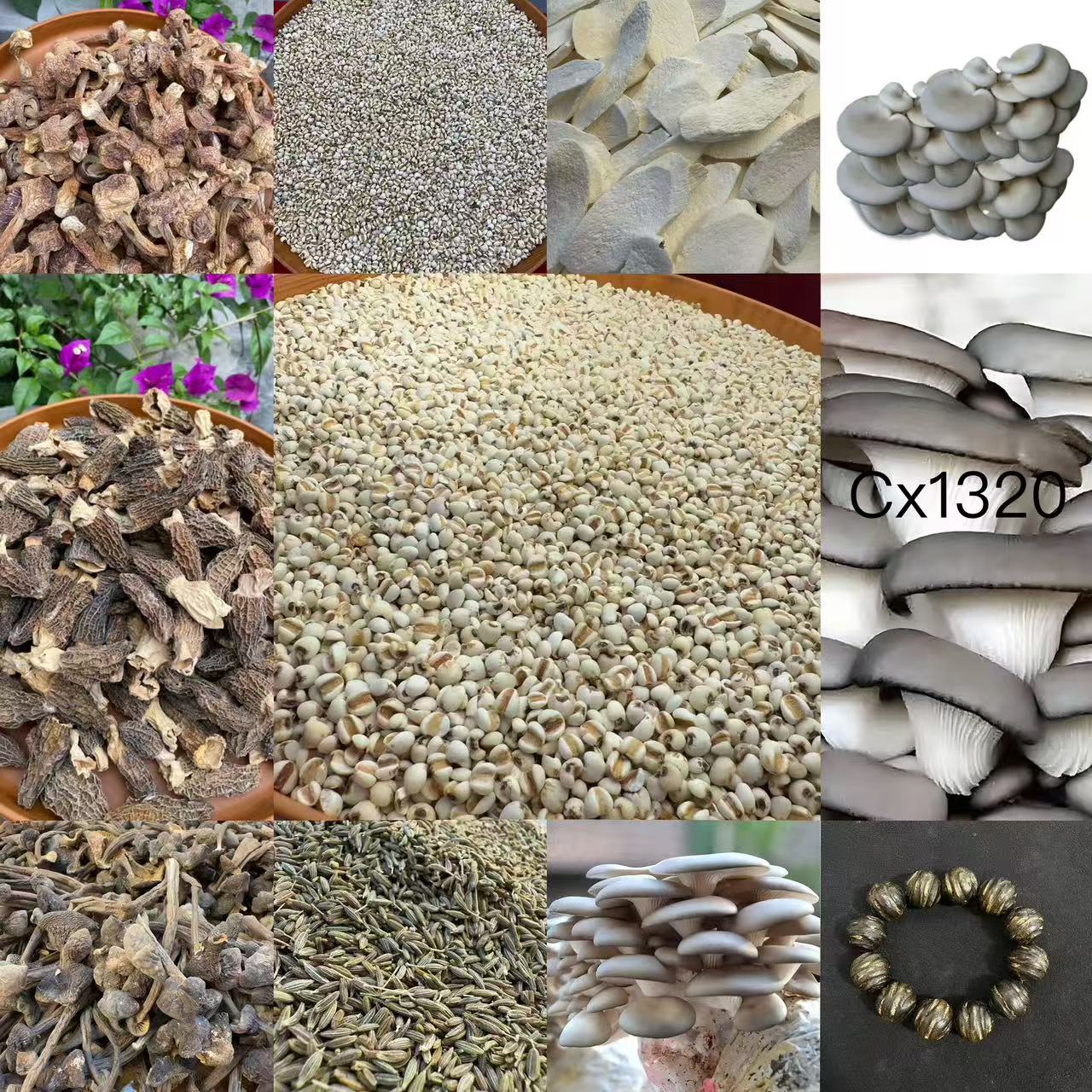 （文总专用土特产）CX1320多样性发货 重量57克左右