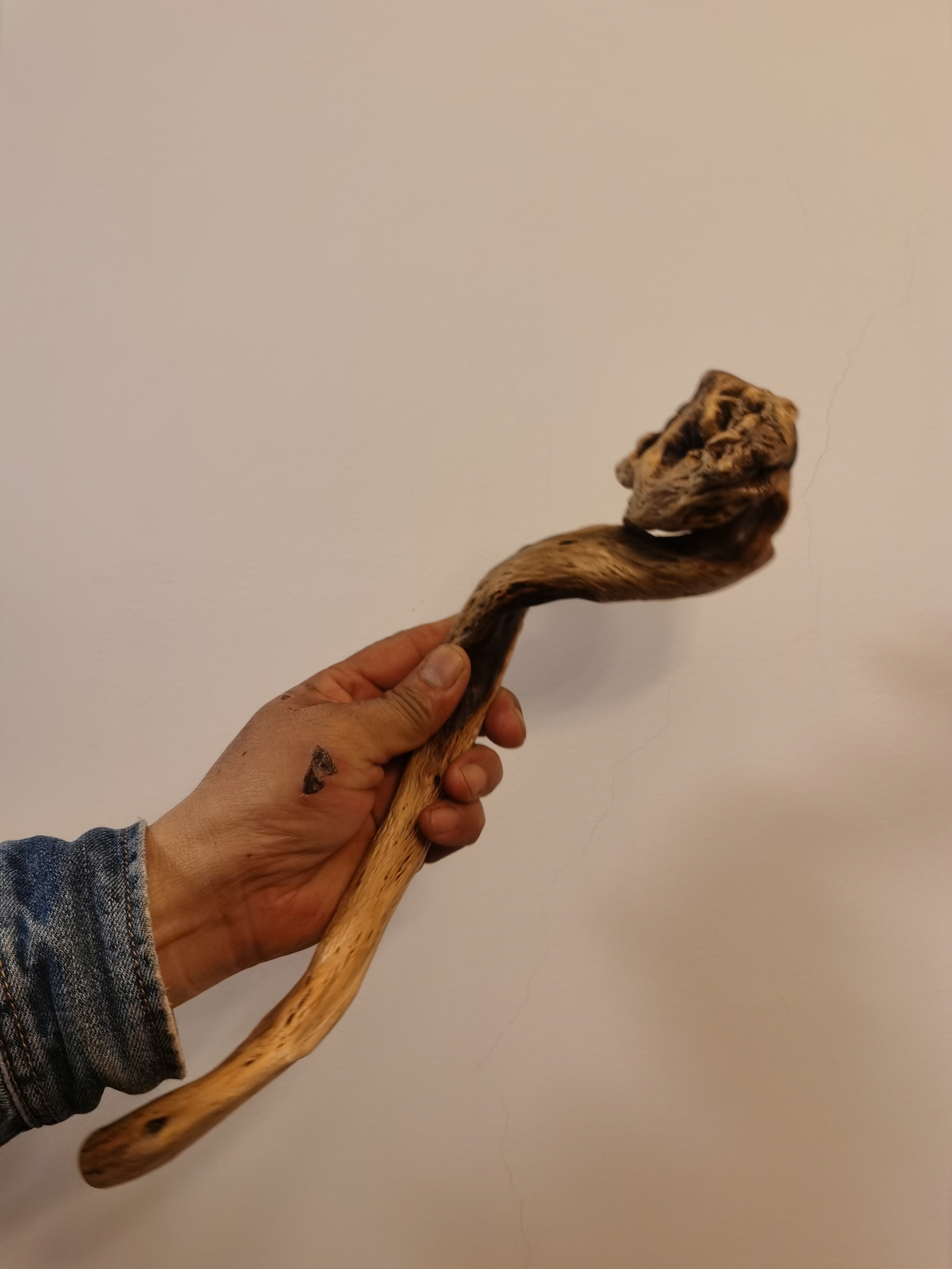 云南红河州特产 黑果树 如意手柄 原生态根雕摆件B(72-98)