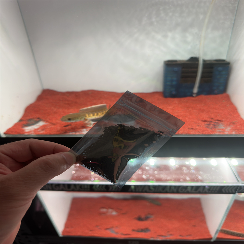 科饲料一包10克