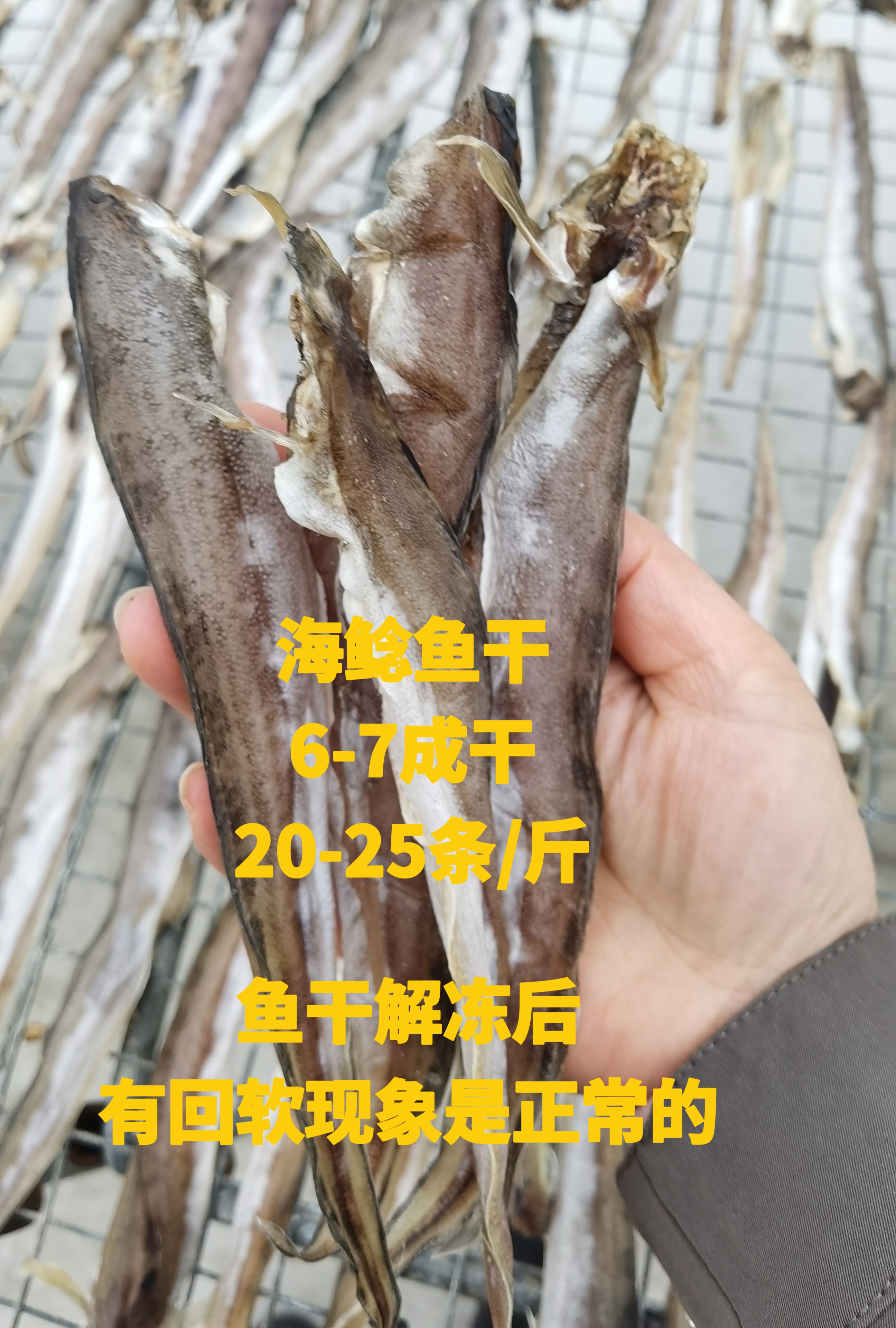 【威海玲姐】海鲶鱼干山东威海一卤鲜鱼干淡干6成干包邮