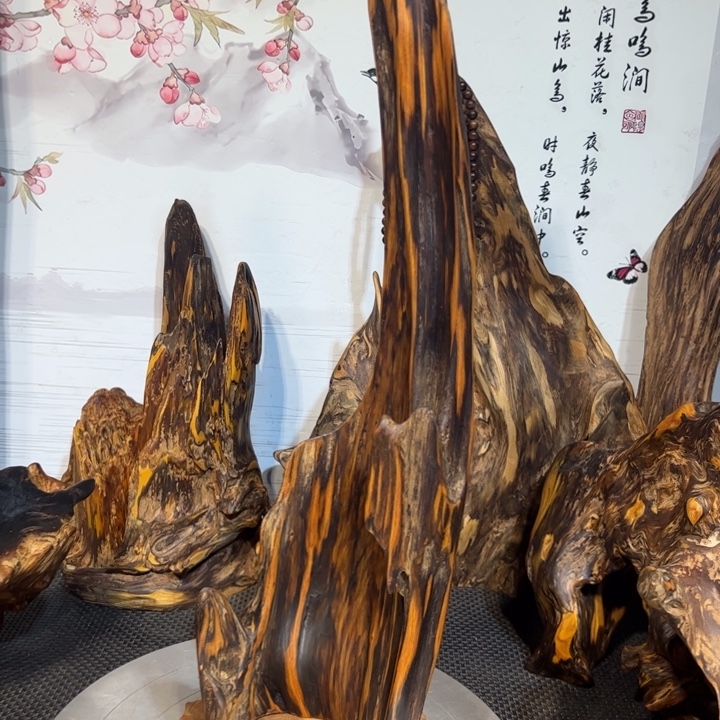 不***心木直播间一物一拍