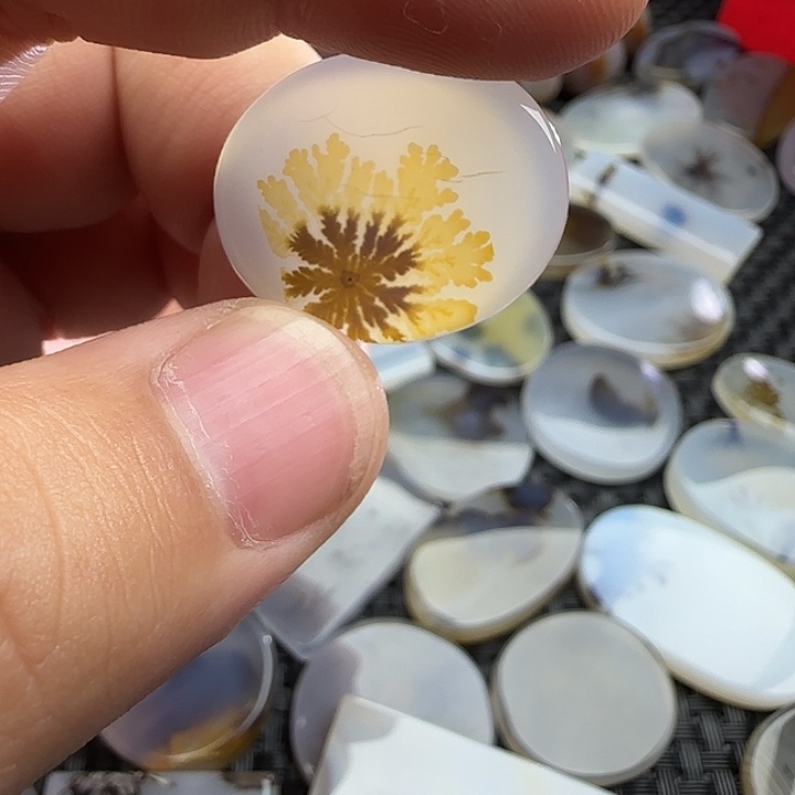 小***瑙玛瑙/玉髓未镶嵌颈饰