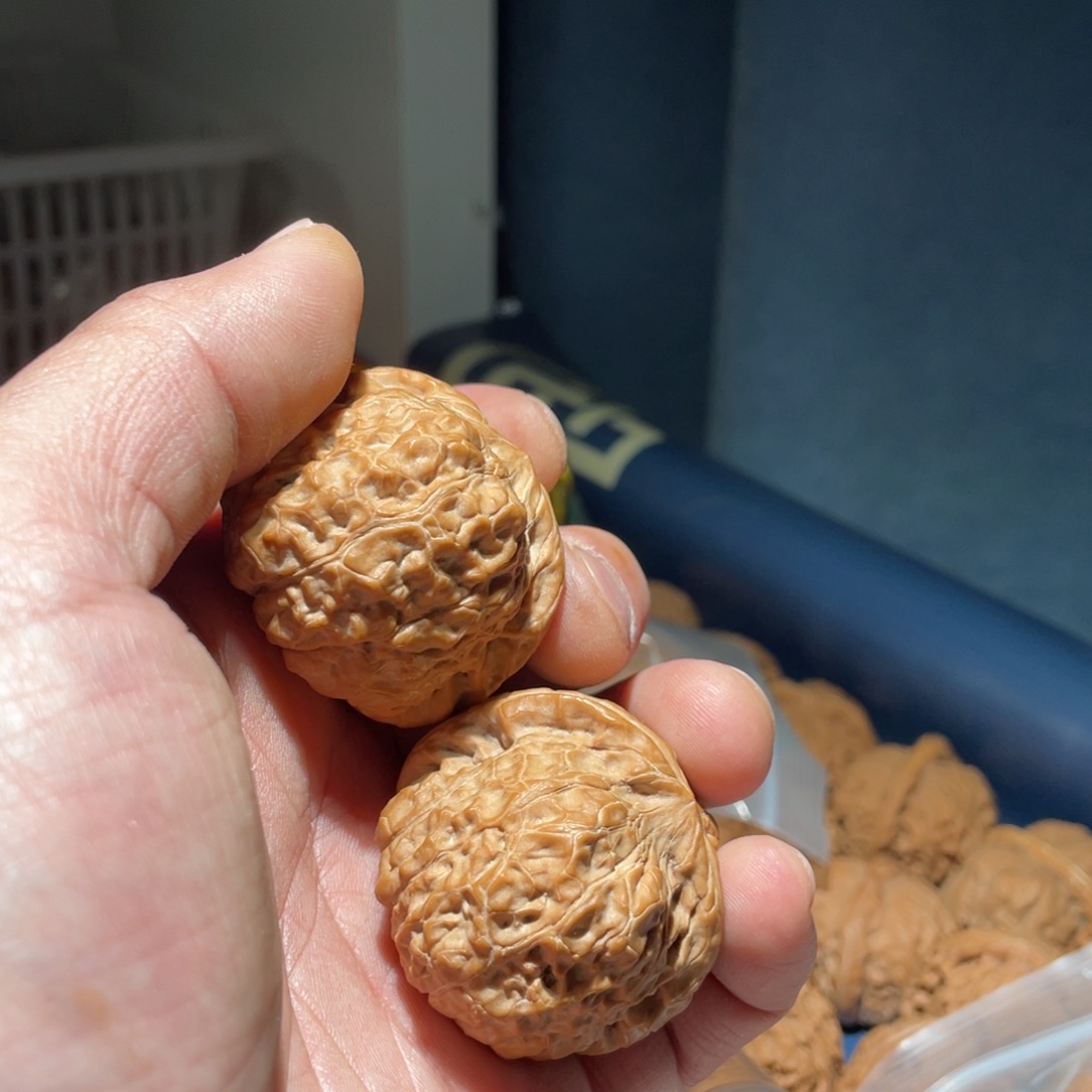 核桃手串/手链S44全品南瓜