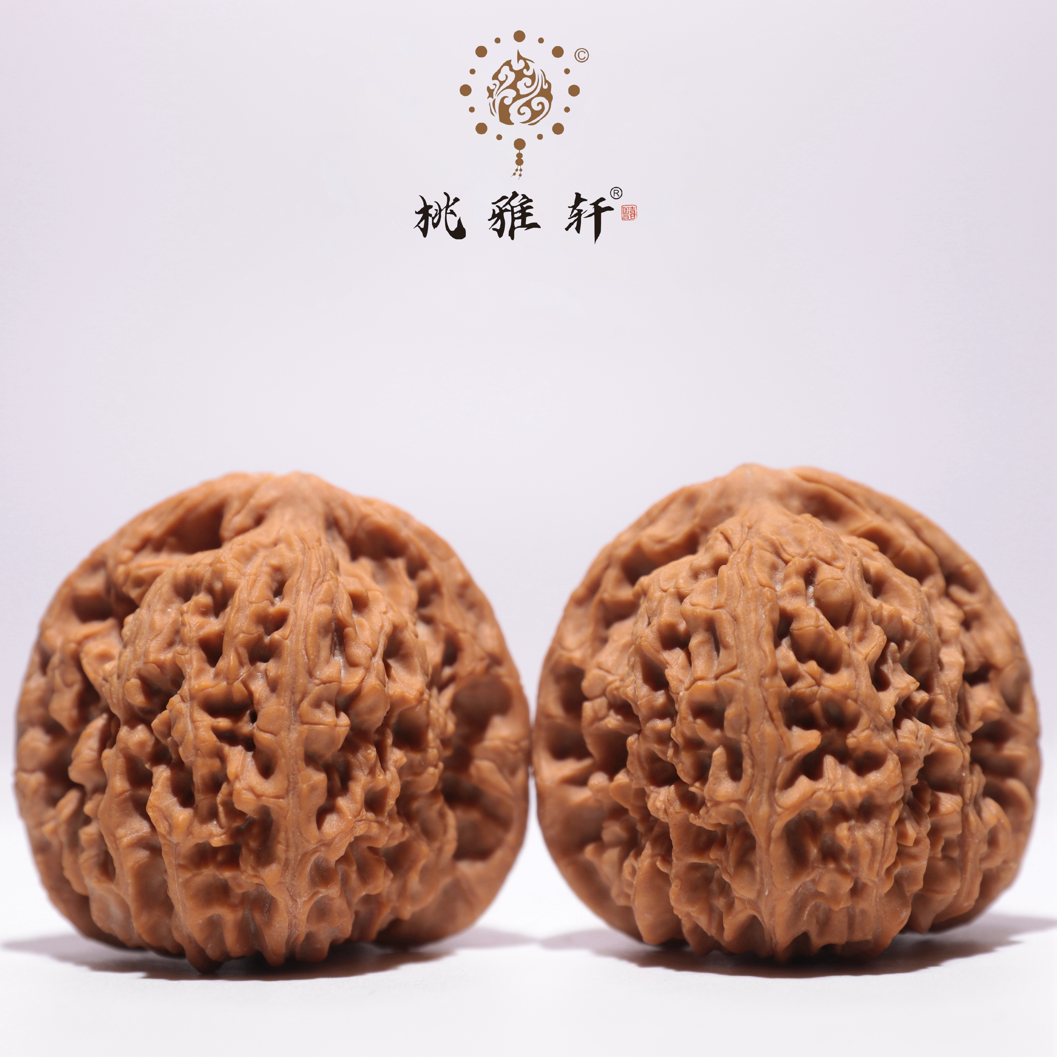 南将石 · 43-45-41 一物一图