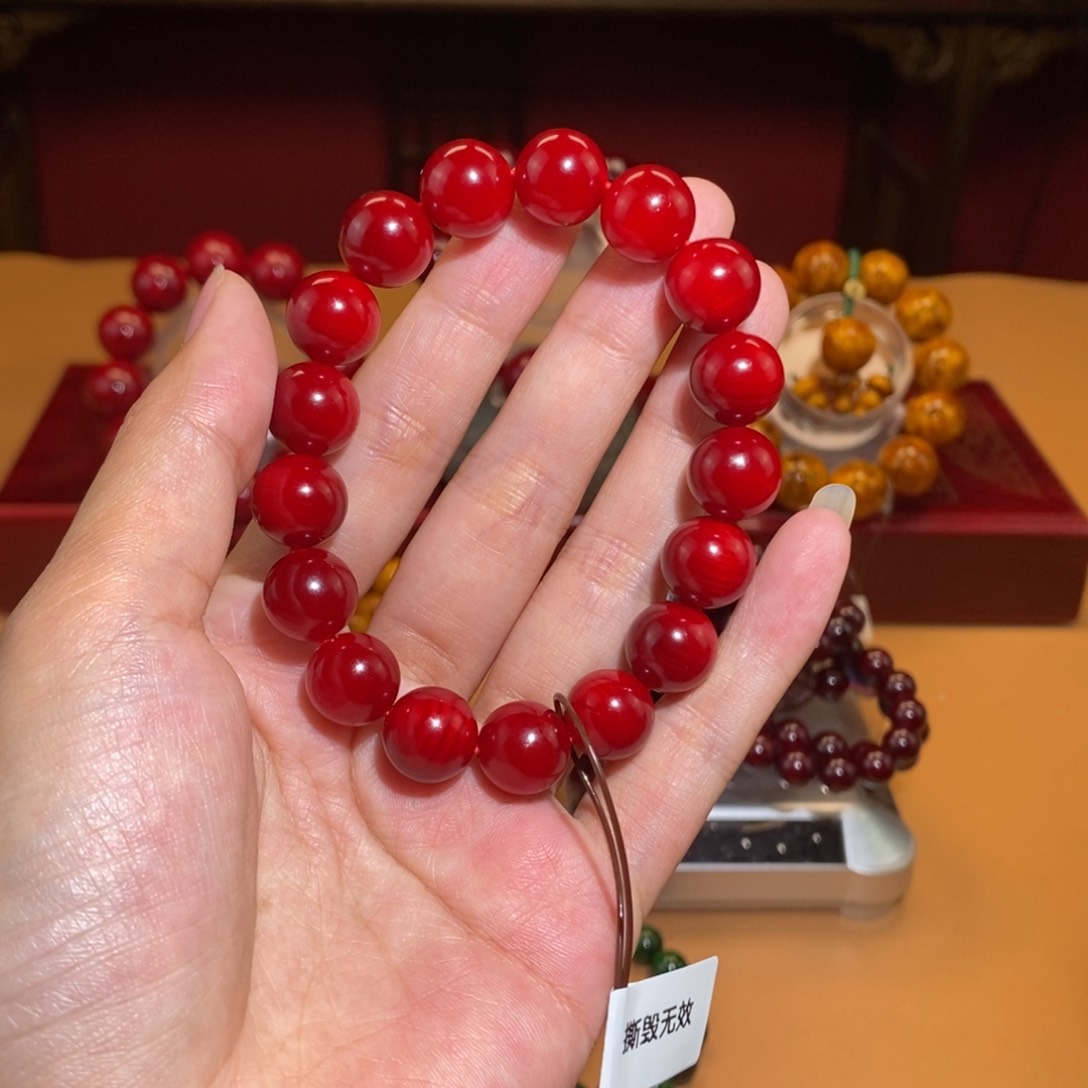 贝壳杉1.2 帝王血龙木