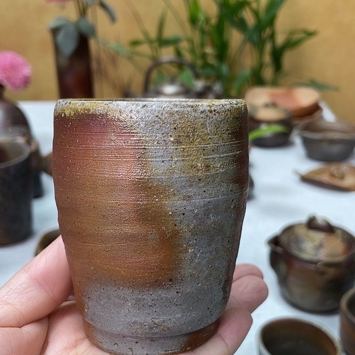 小山一草的主人杯