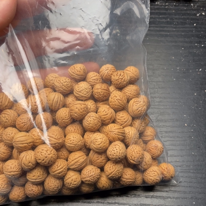 飞***虎散籽批发小桃核130