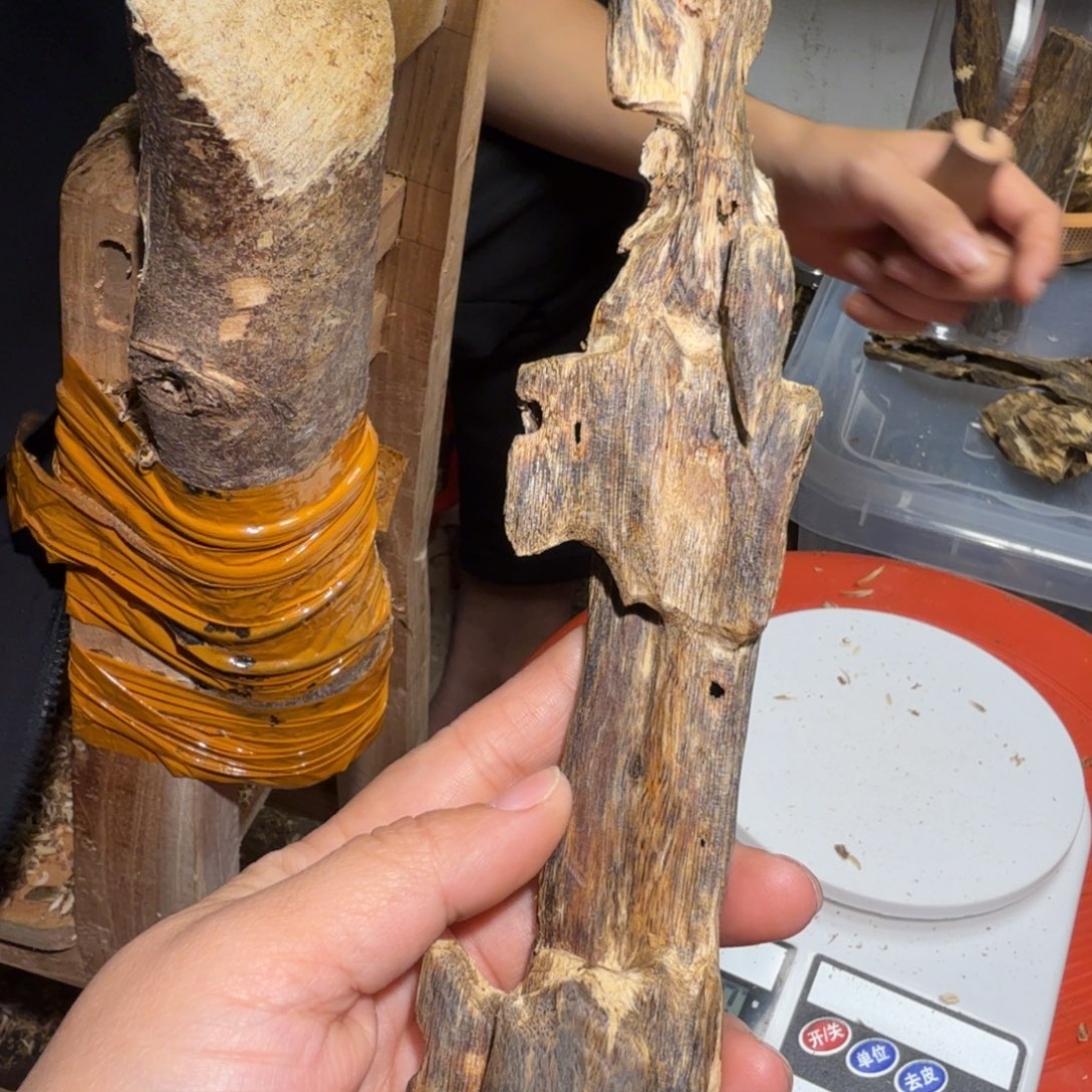 白奇沉香块料沉香