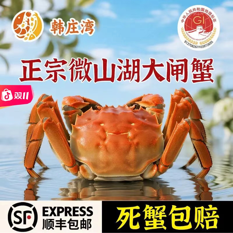 韩庄湾【活蟹】微山湖大闸蟹全母蟹8/10只3.7-3.3两双11送高端礼盒