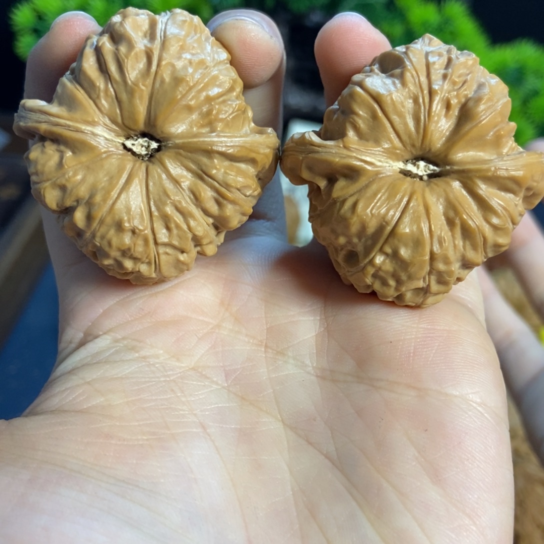 核桃核桃把件文玩20