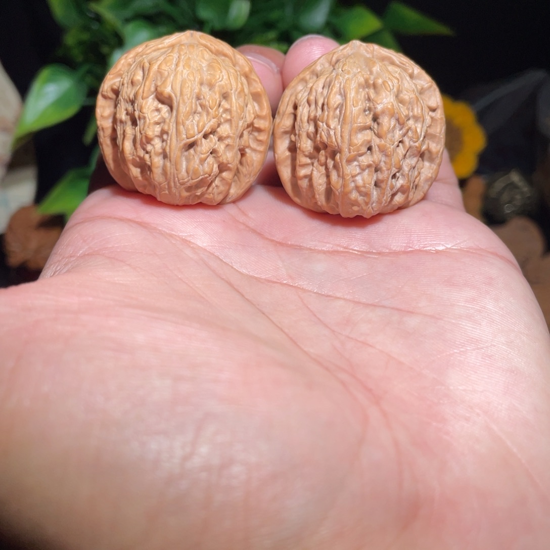 舍***得文玩核桃吊坠35白狮子