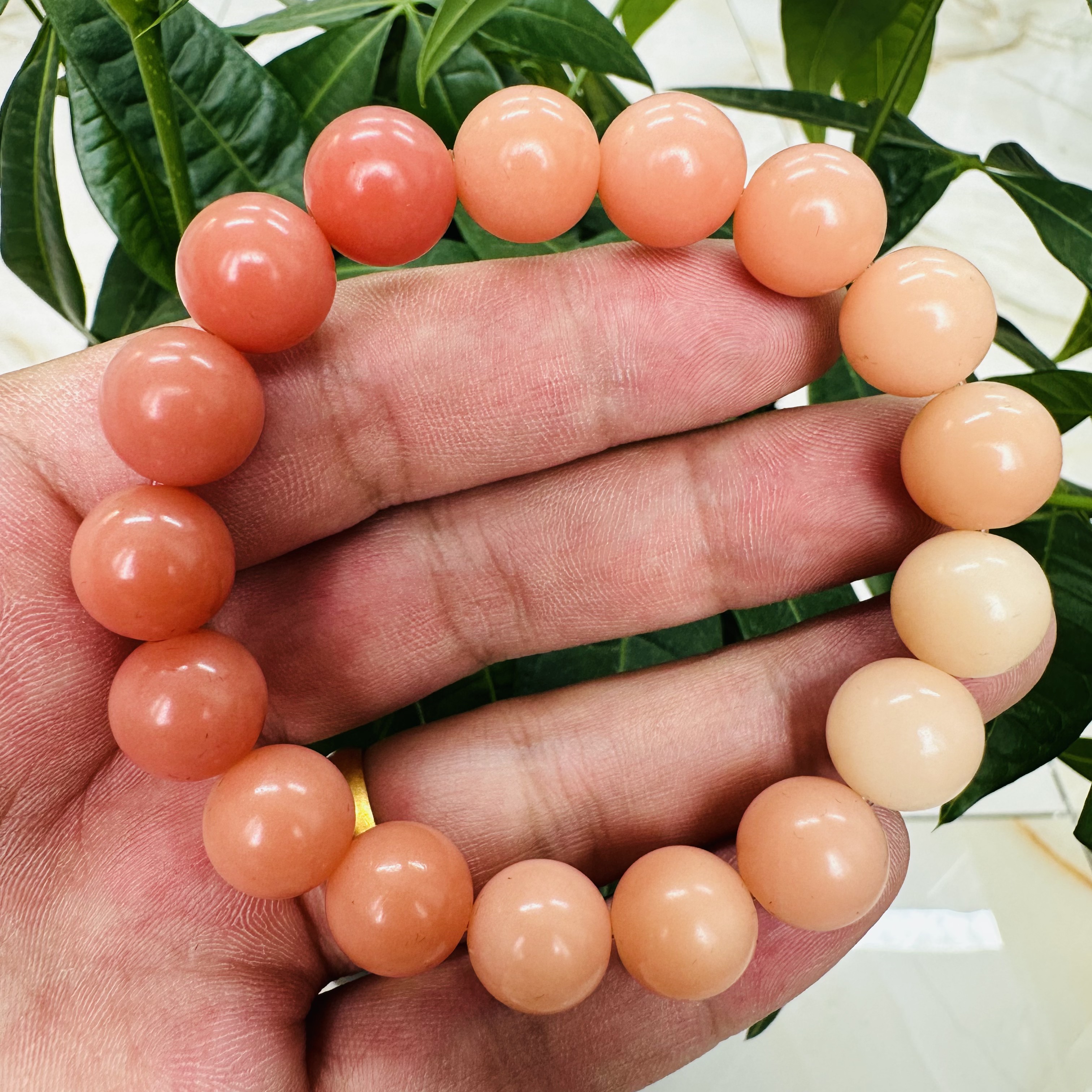 栗子茶菩提单圈手串PT-5607无礼盒