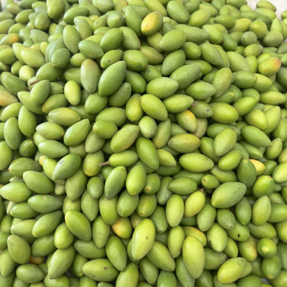 潮之惠潮汕正宗青枣脆橄榄清香脆特色酥脆生吃原味香500g起