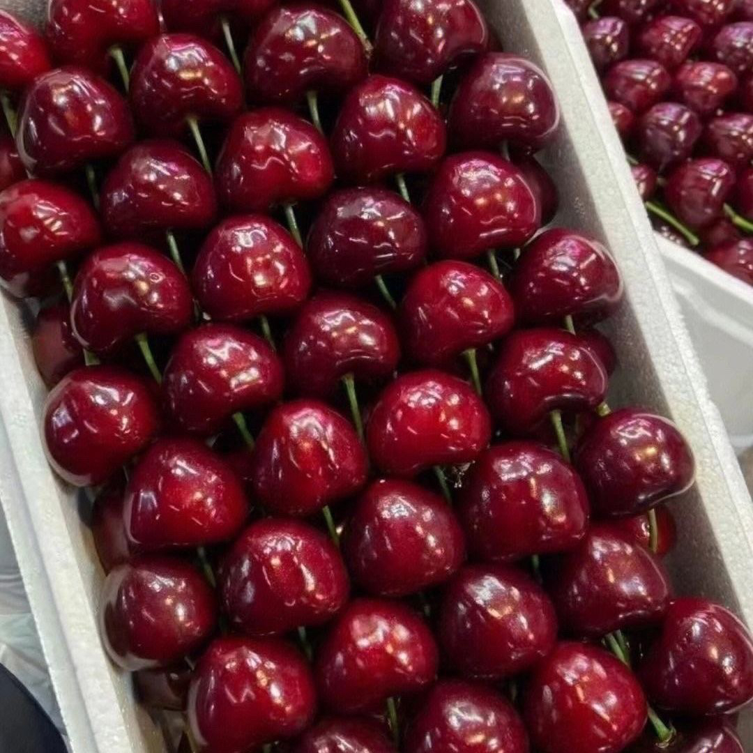 3个J海运桑提娜车厘子一箱，5斤净重桑提娜智利