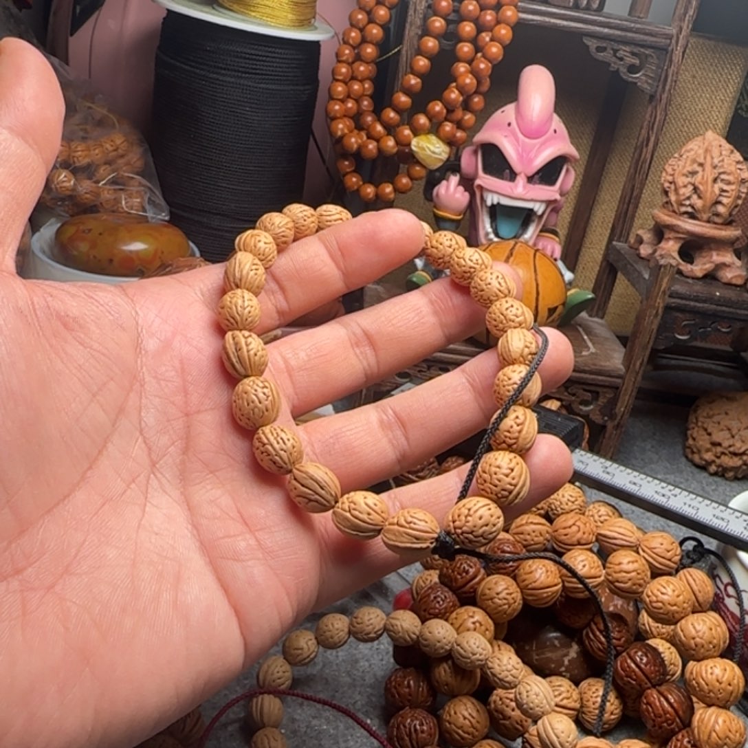 1.0宽旗手持一条野生桃核金豆