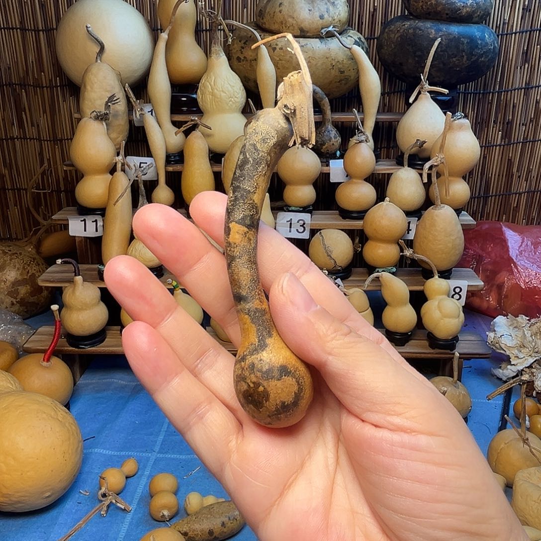 花皮小杆子9.9米包邮